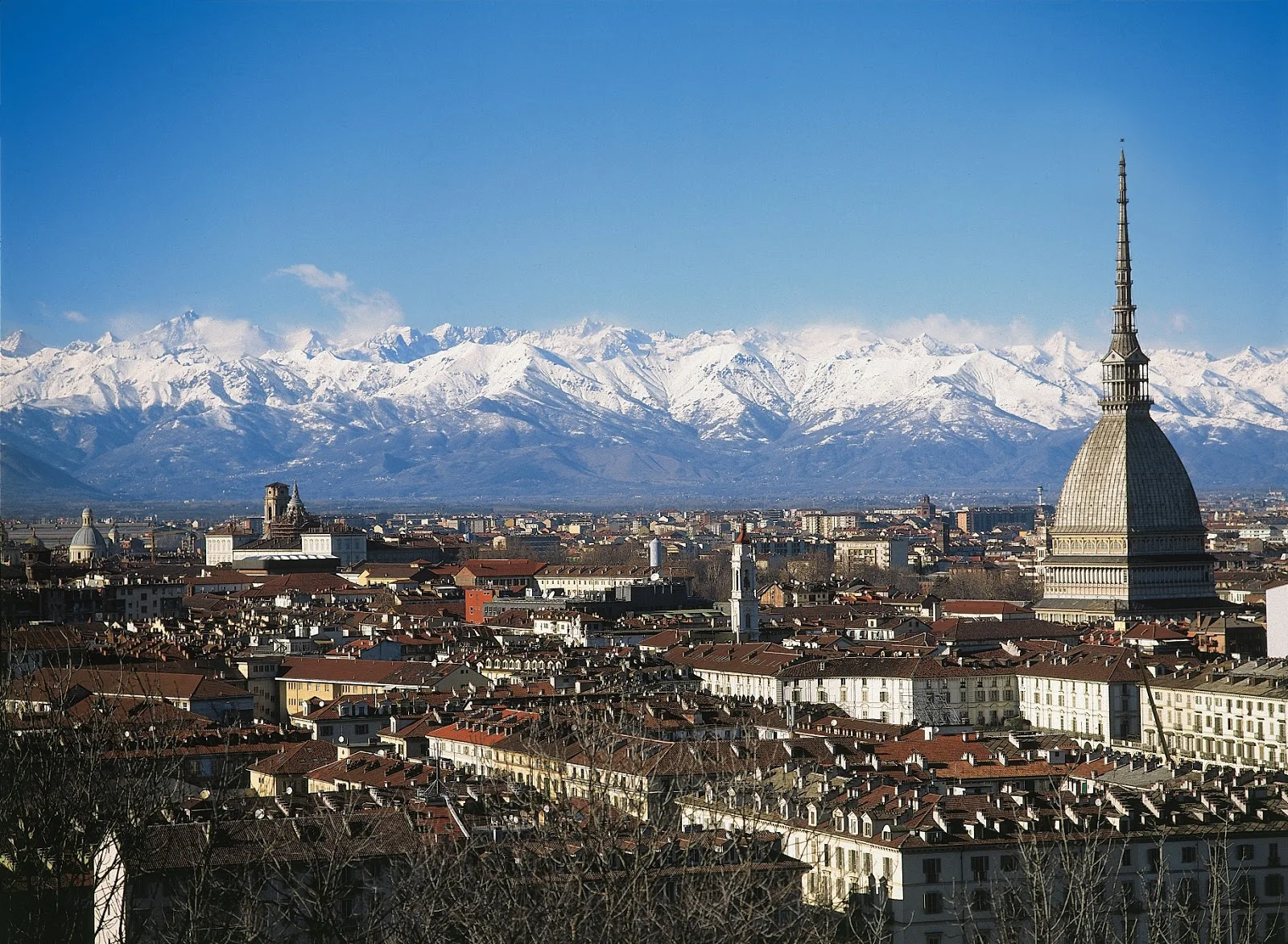 torino (1).jpg