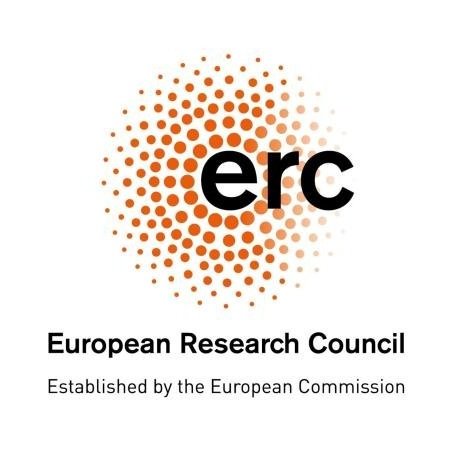 ERC grant (2018-2024): Turning the cortically blind brain to see