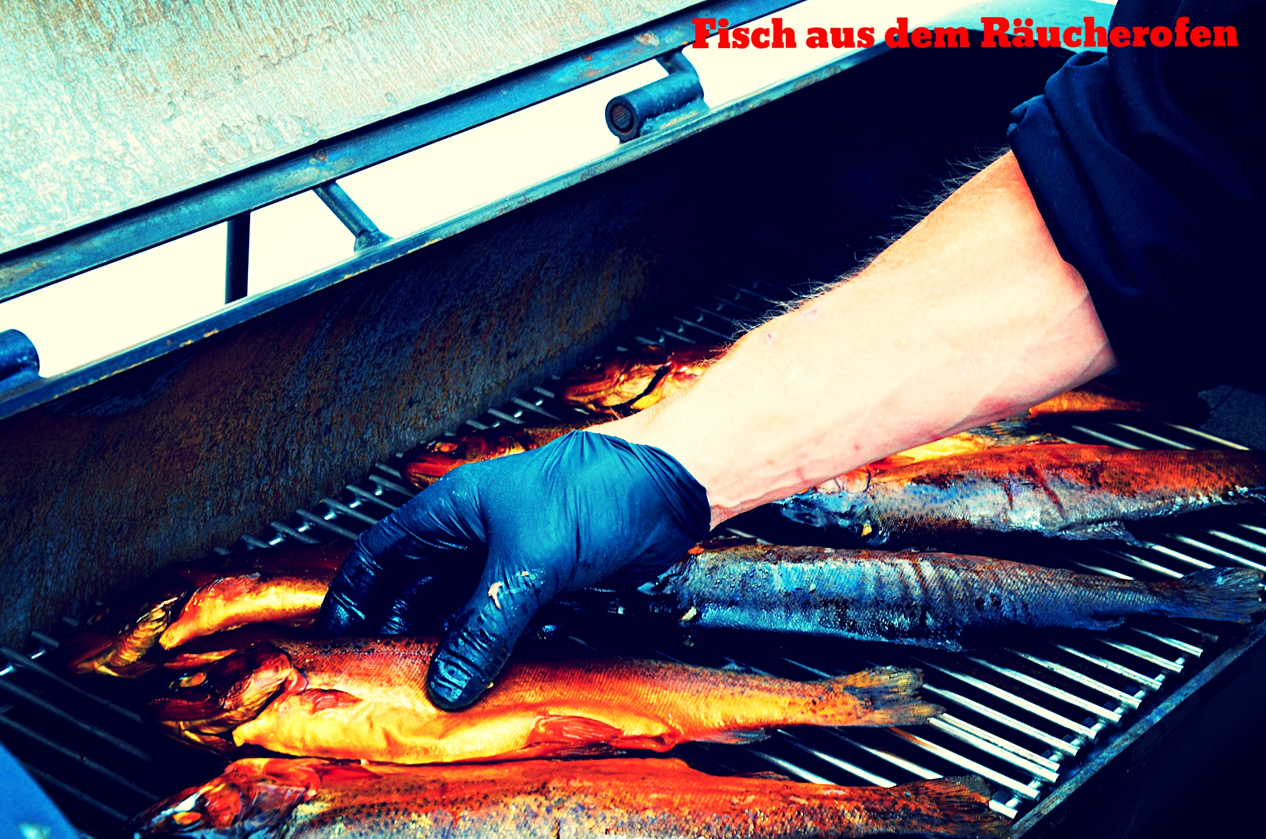 Live Cooking Fisch