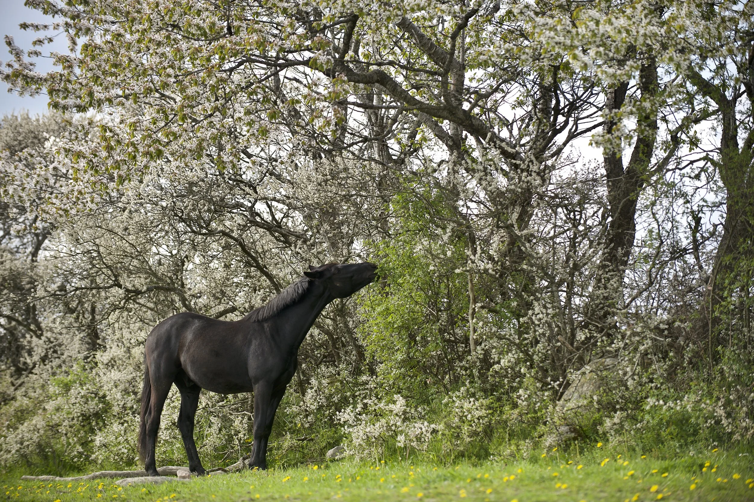 _DSC9212-kopi 2.jpeg