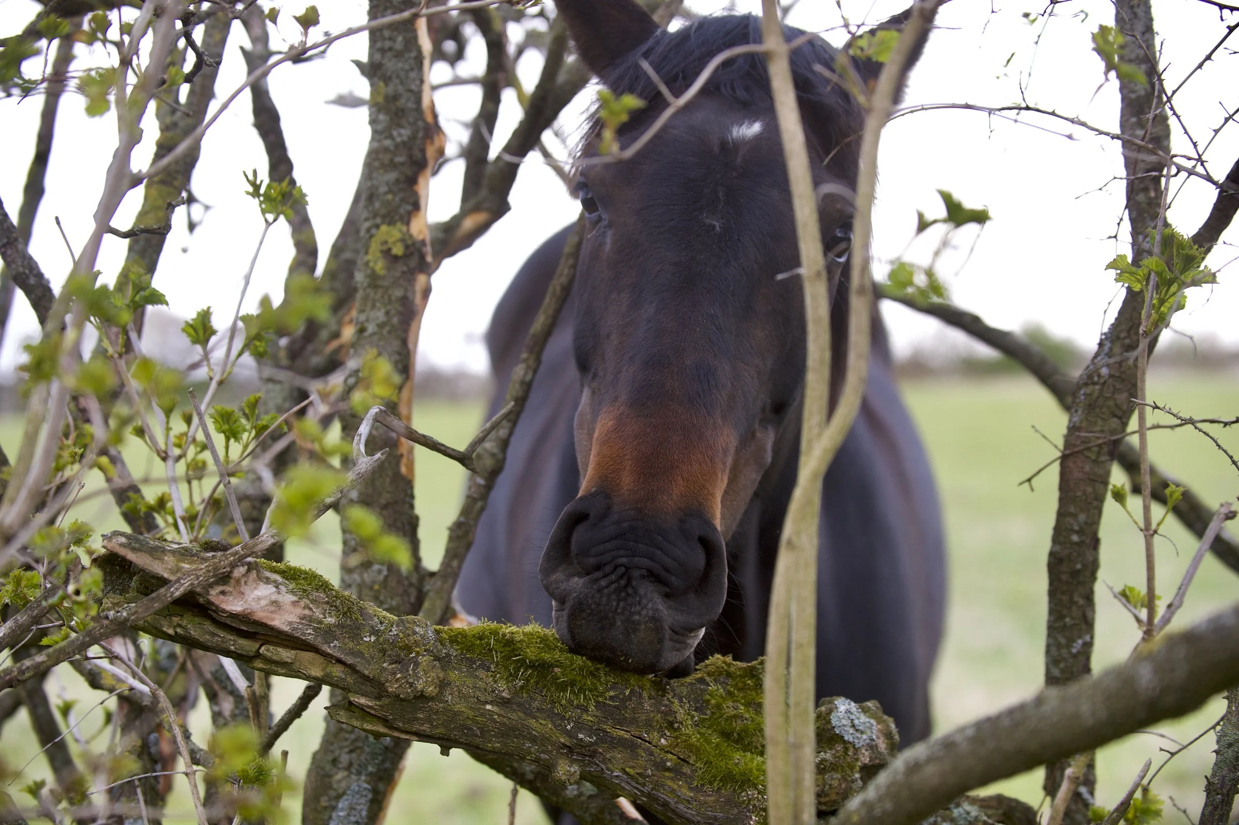 ?DSC_2248-kopi 2.jpeg