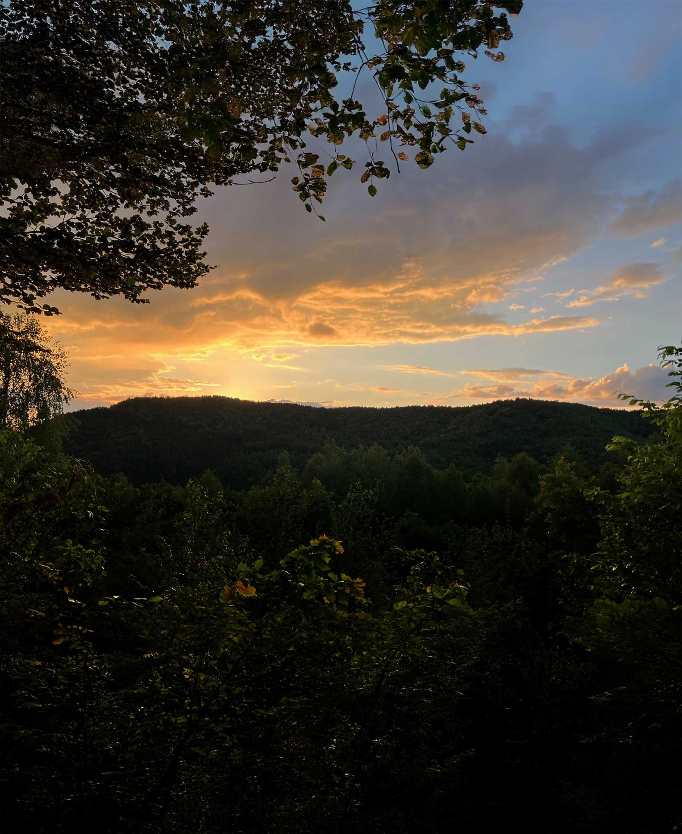 SunsetImage.jpg