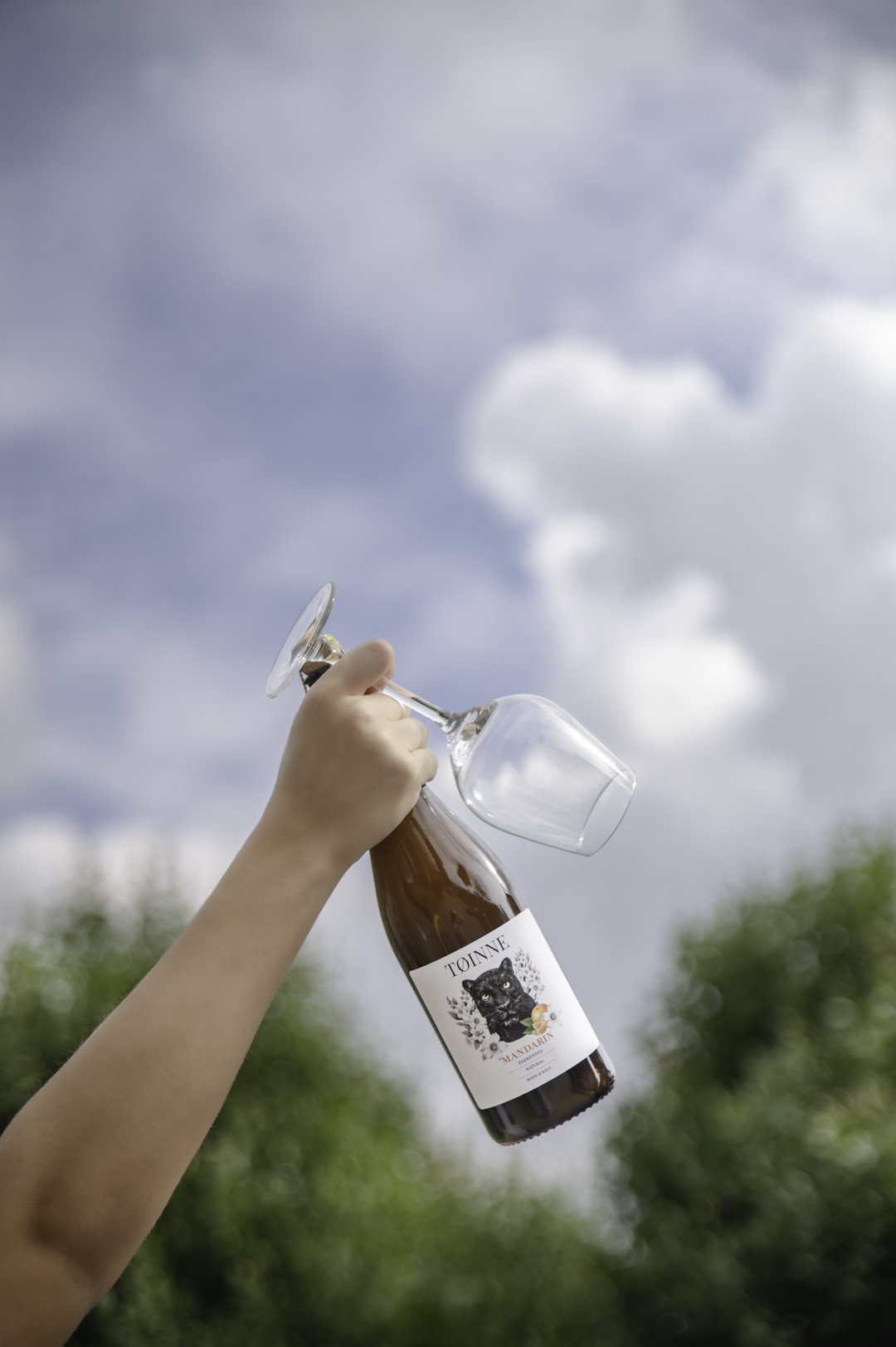 toinne-kombucha-product-photography-Rotterdam20260902_0105.jpg