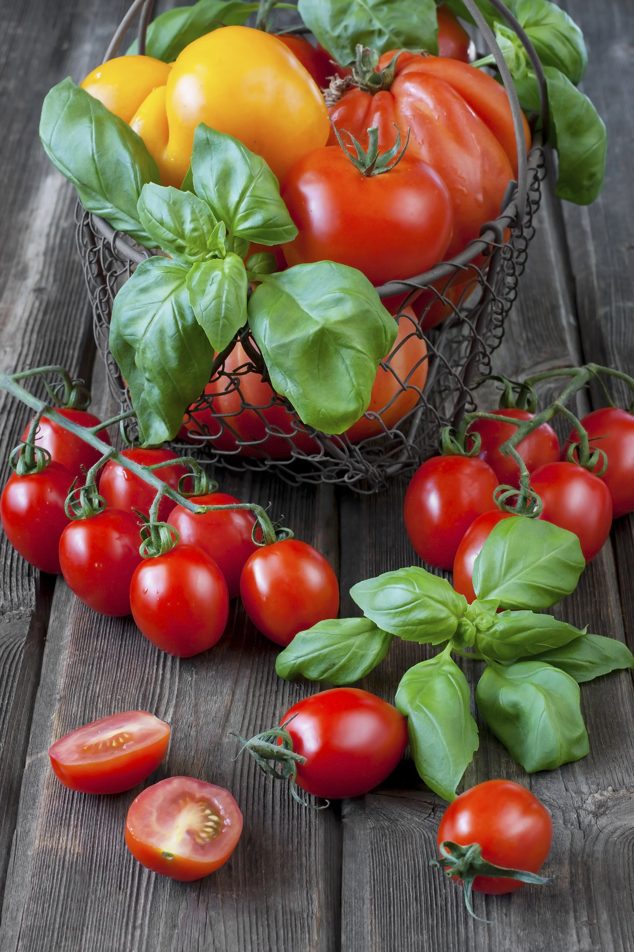 iStock_000051643820Large.jpg