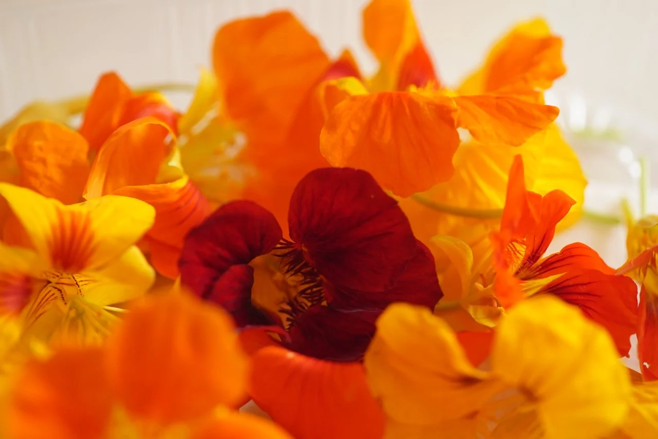 thumbnail_DSC01526.jpg