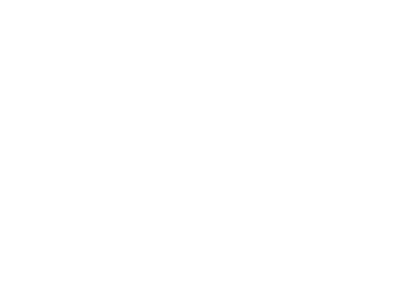 gate new.png