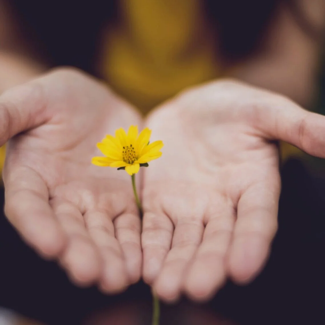 Empowerment Retreat  ~ How to Survive Trauma ~ 3 Day New Now Retreat