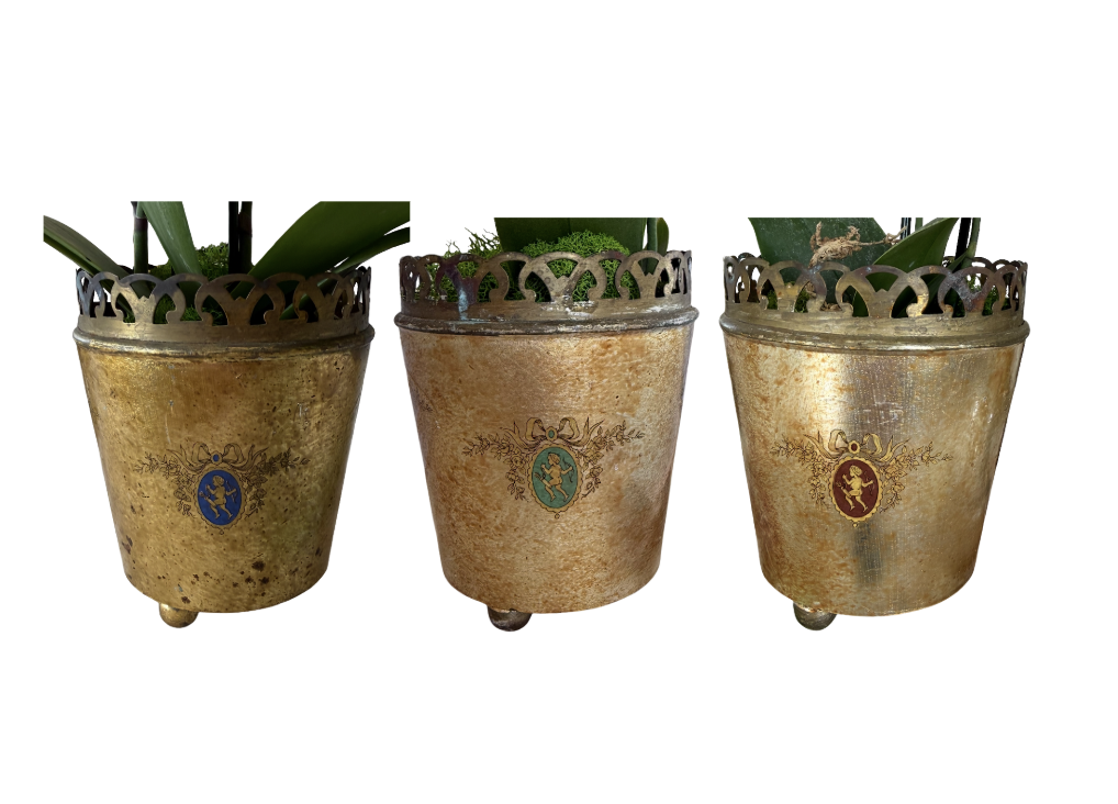 Screenshot 2026-03-30 at 12.49.12 PM.png