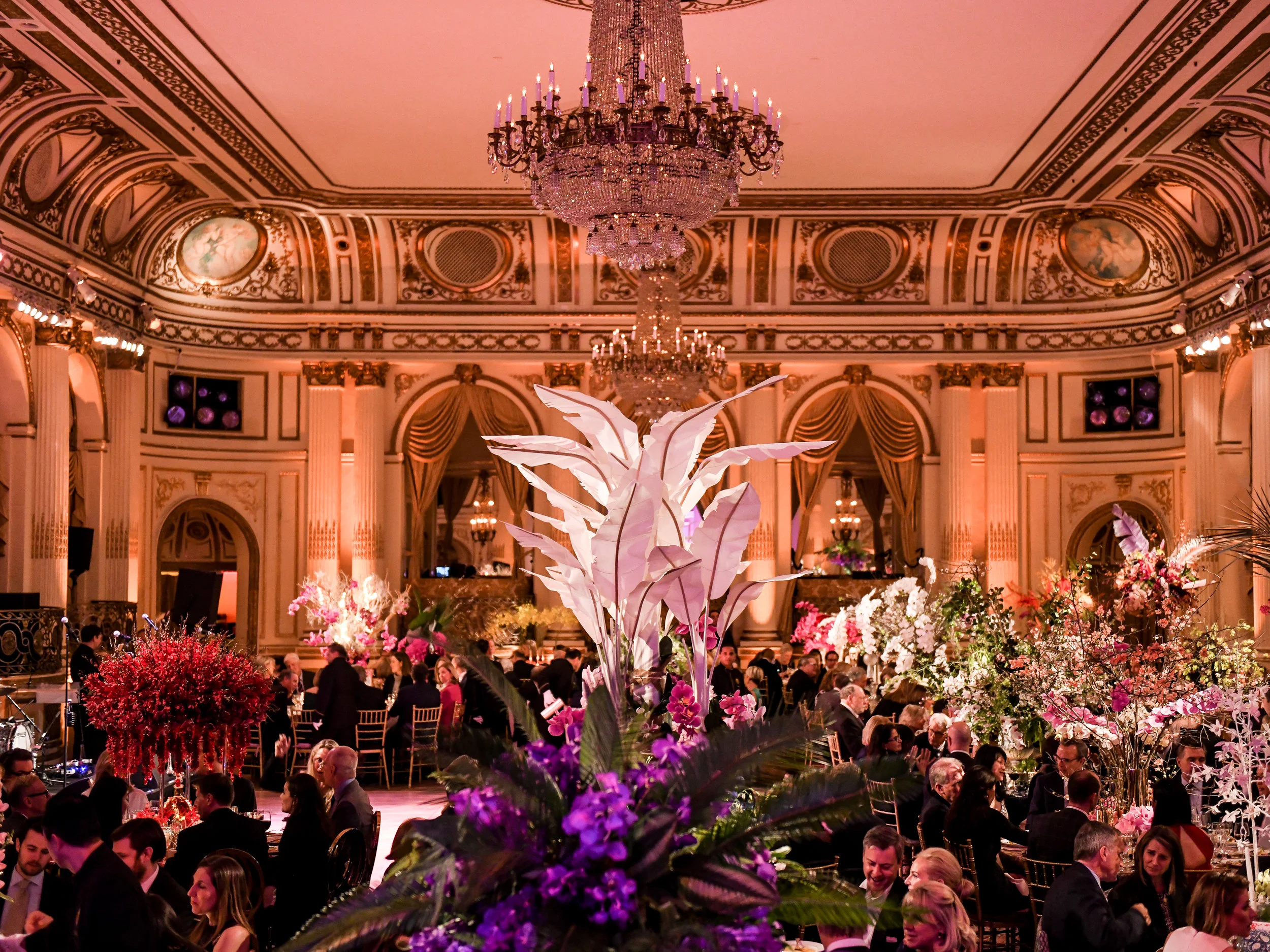 BFA_23206_2787913.jpg