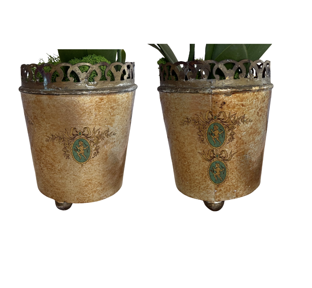 Screenshot 2026-03-30 at 12.49.41 PM.png