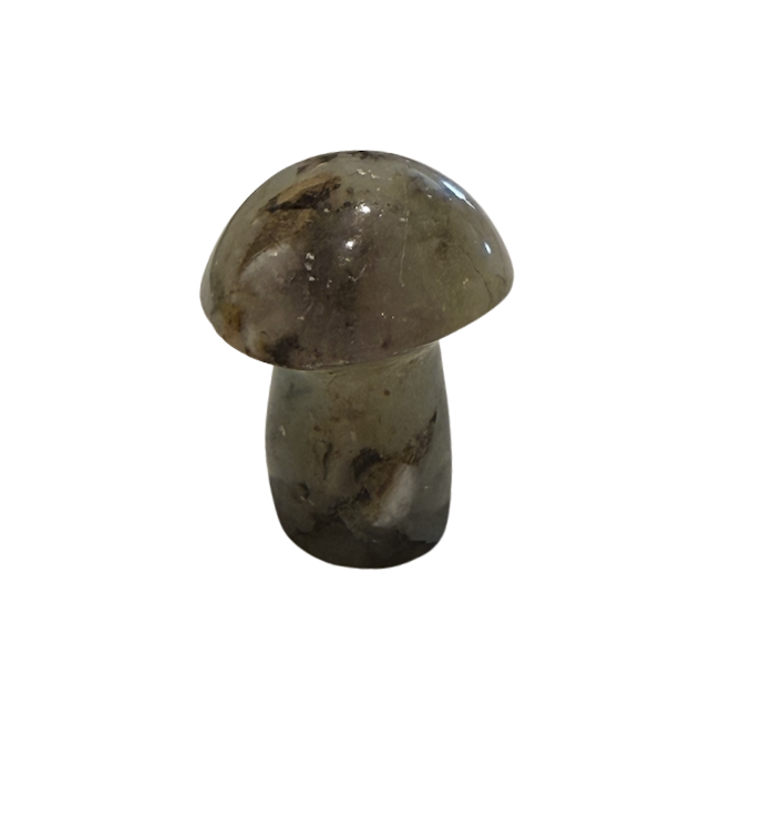 Screenshot 2026-04-13 at 2.34.22 PM.png