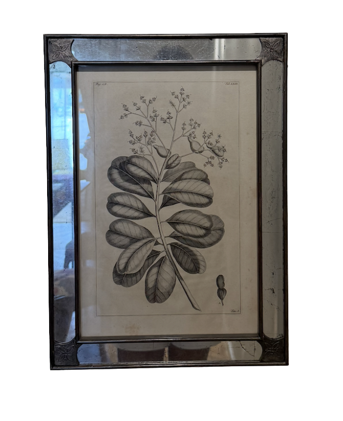 Screenshot 2026-03-30 at 2.55.51 PM.png