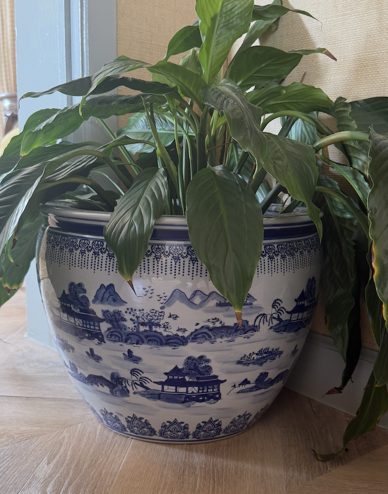 Screenshot 2026-03-30 at 3.40.42 PM.png