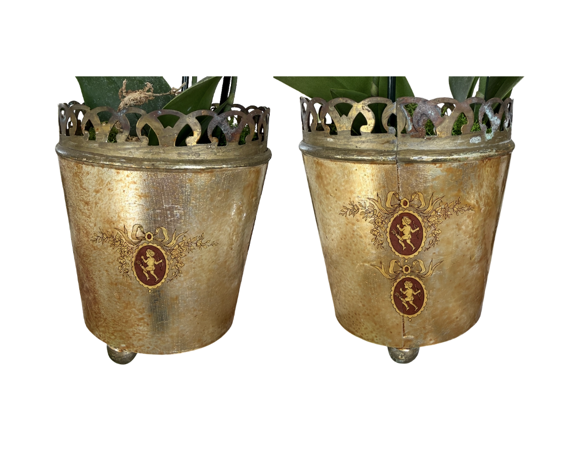 Screenshot 2026-03-30 at 12.49.53 PM.png