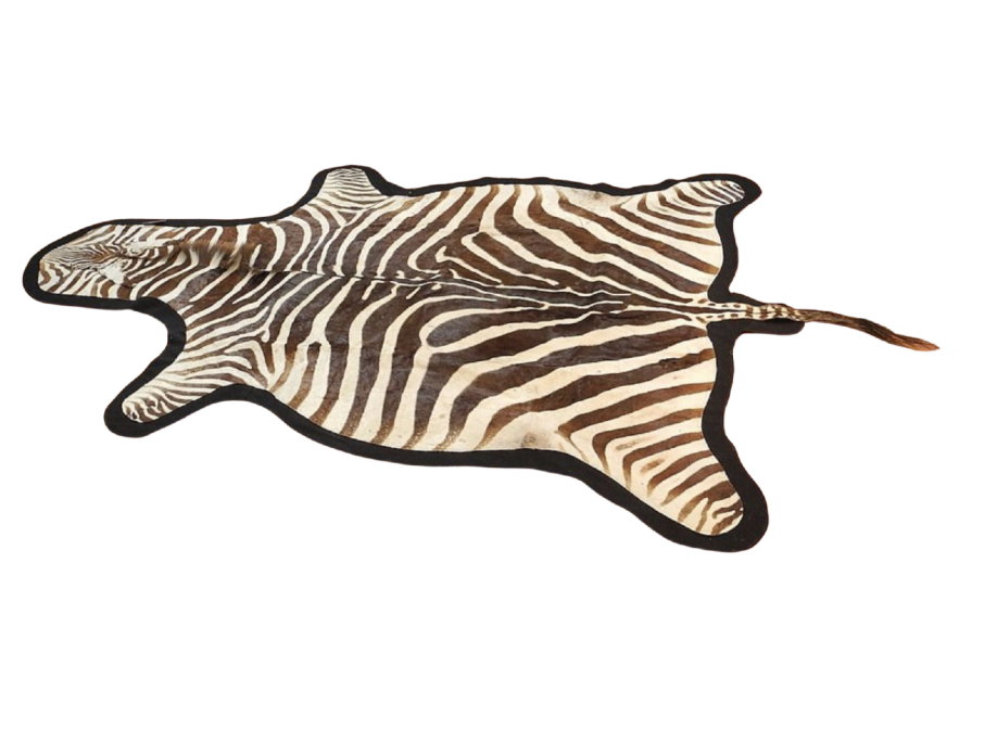 Zebra Rug