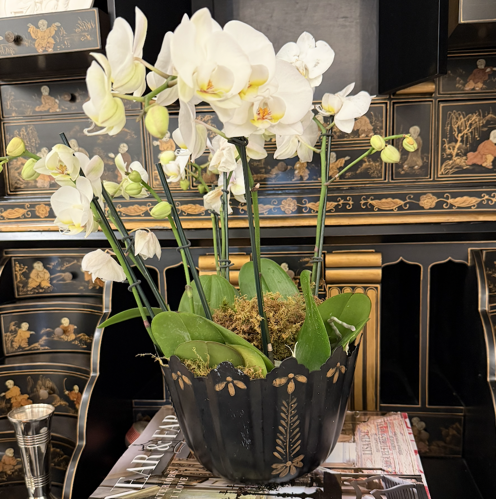 Screenshot 2026-03-30 at 1.16.01 PM.png