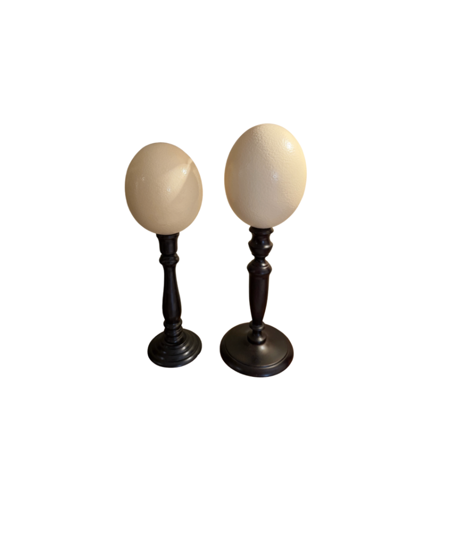 Pair of Ostrich Eggs on Wooden Stand