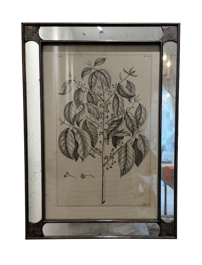 10 Mirrored Botanical Prints