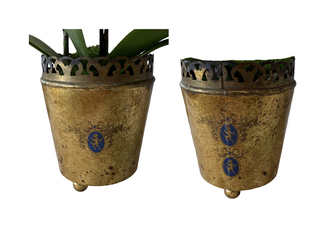 Screenshot 2026-03-30 at 12.50.06 PM.png