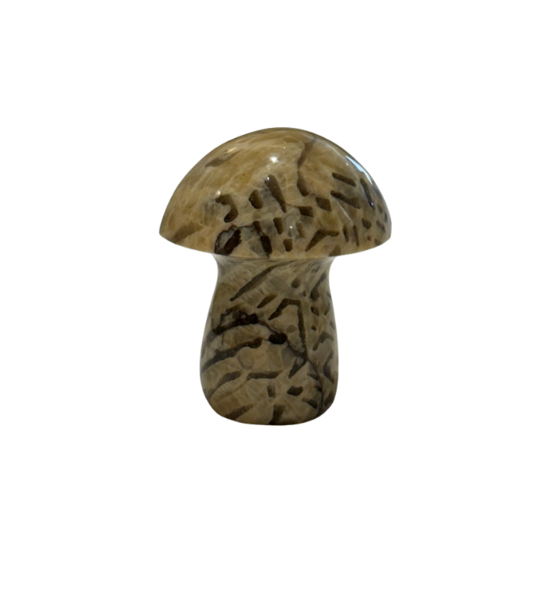 Screenshot 2026-04-13 at 2.32.32 PM.png