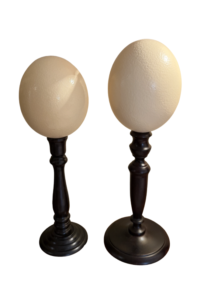Pair of Ostrich Eggs on Wooden Stand