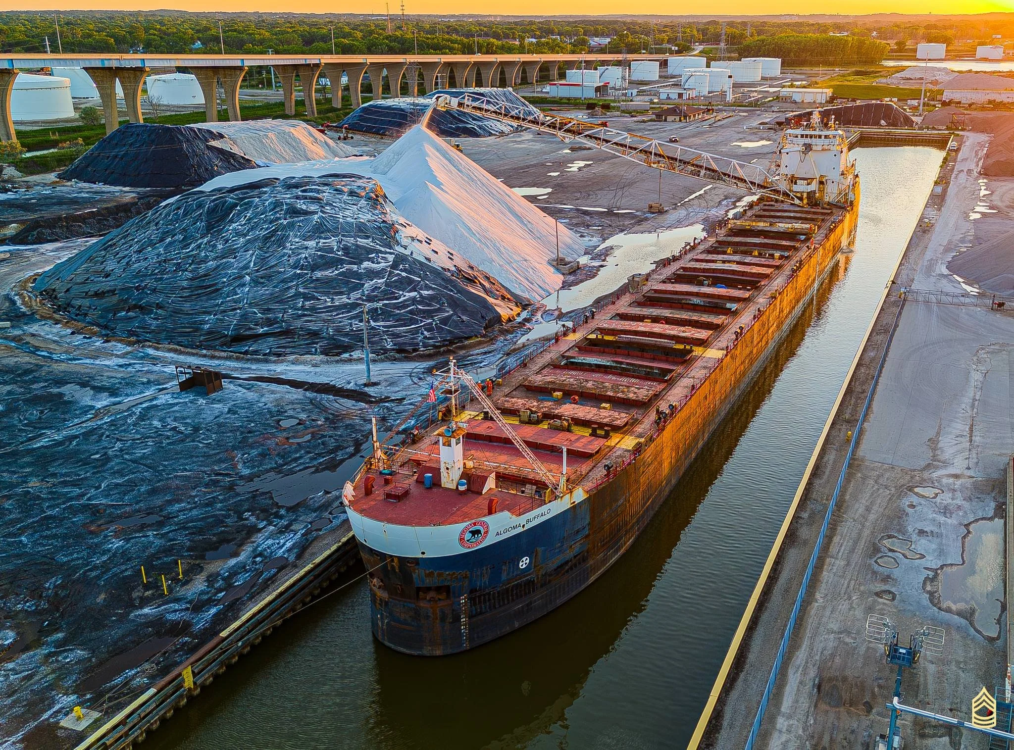 Algoma Buffalo