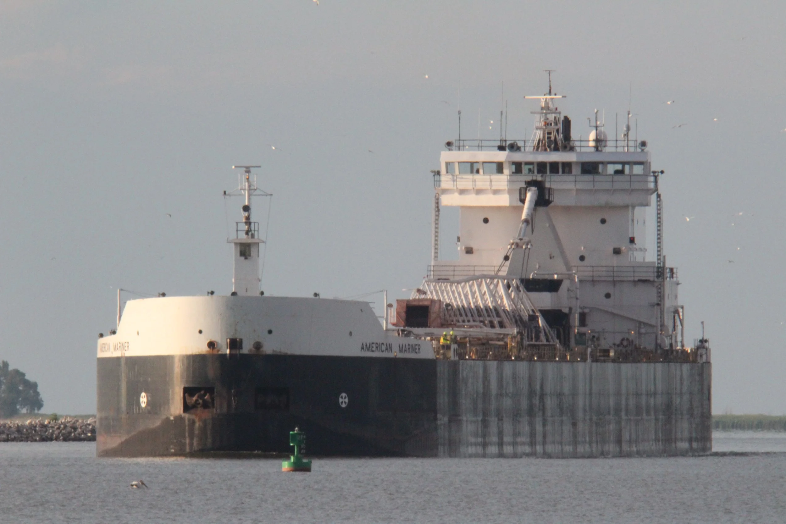 American Mariner