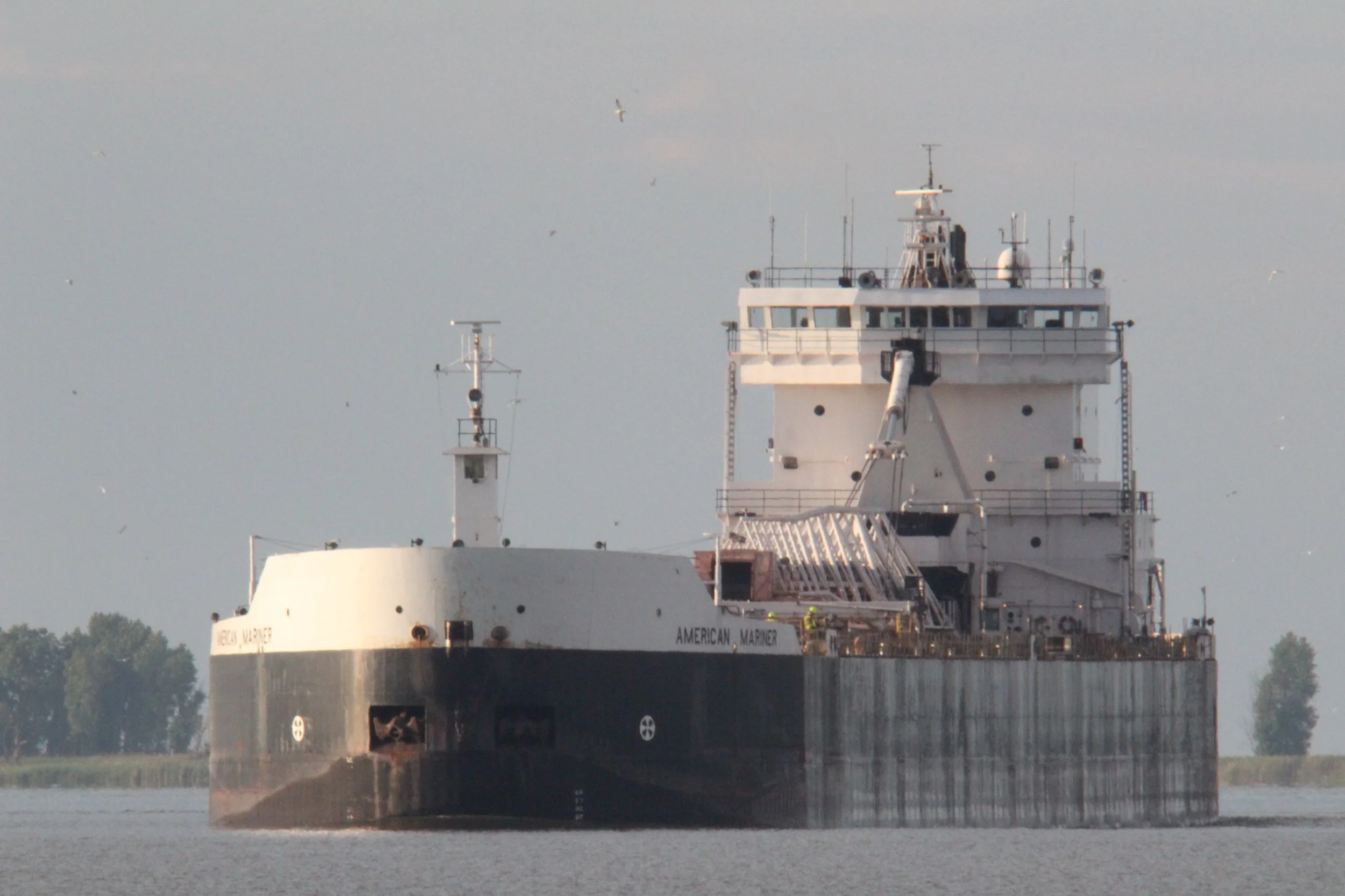 AMERICAN MARINER