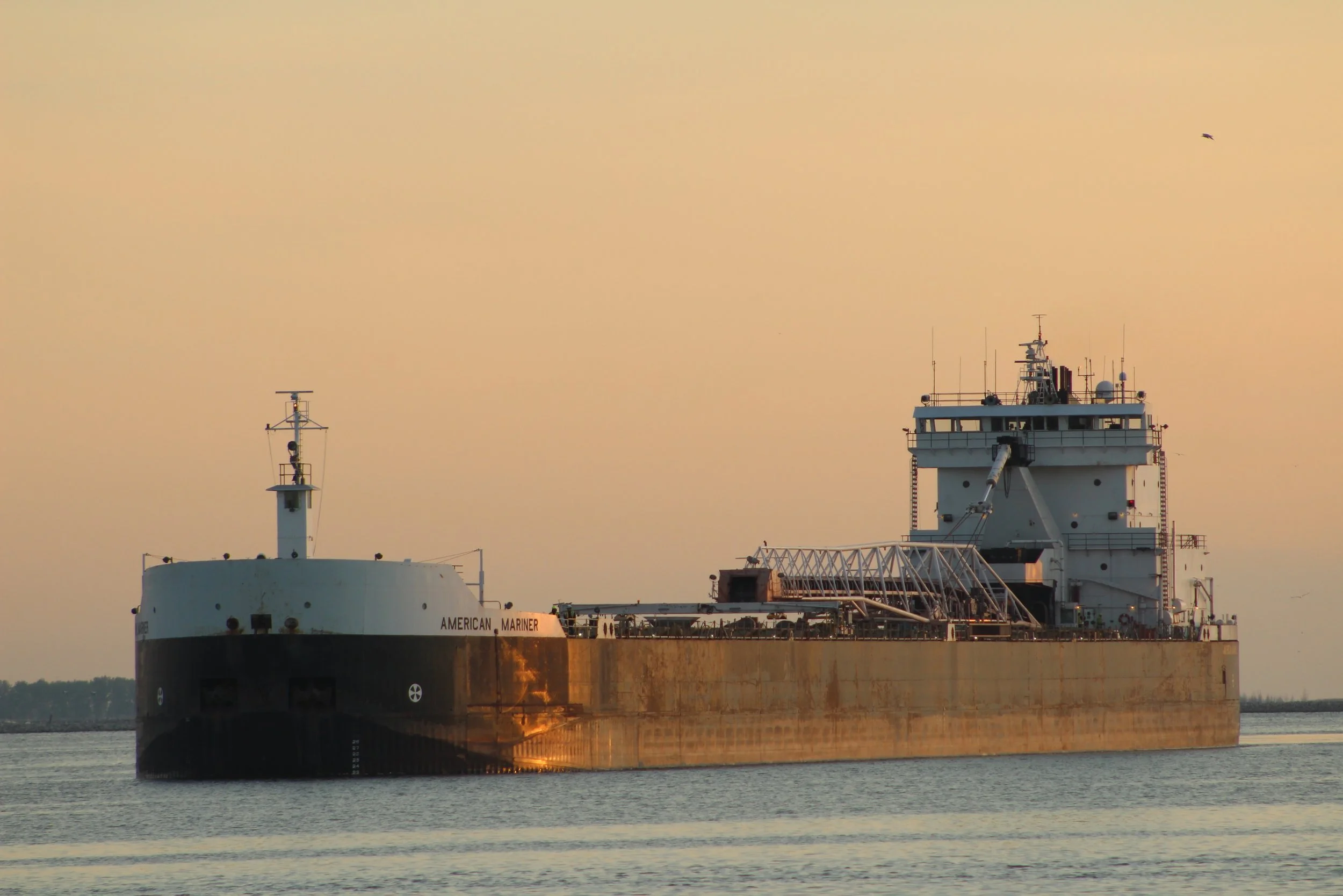 AMERICAN MARINER