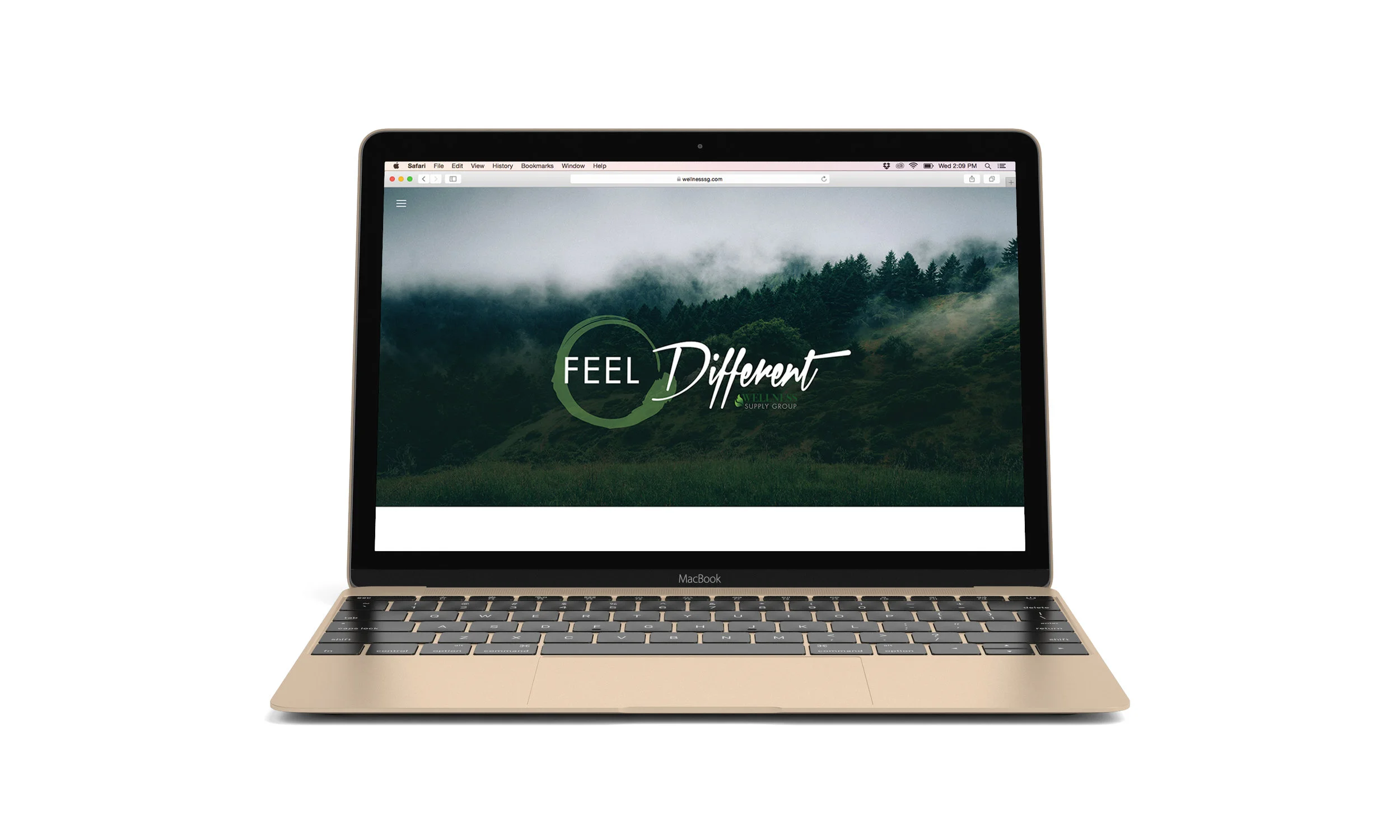 laptop.jpg