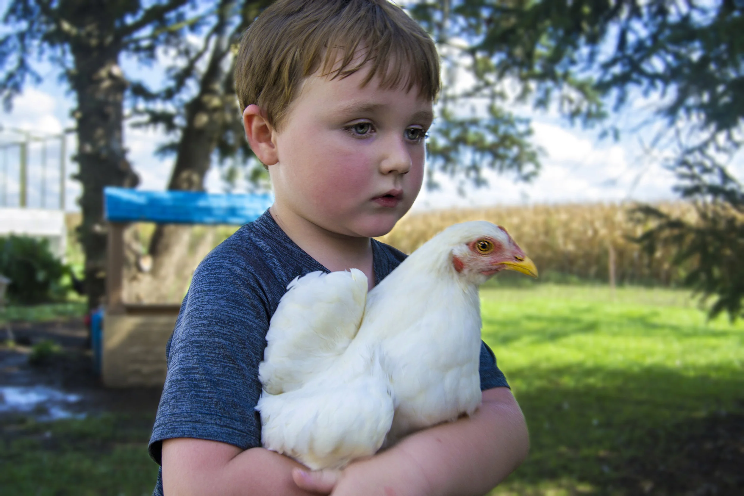 FARM1.jpg