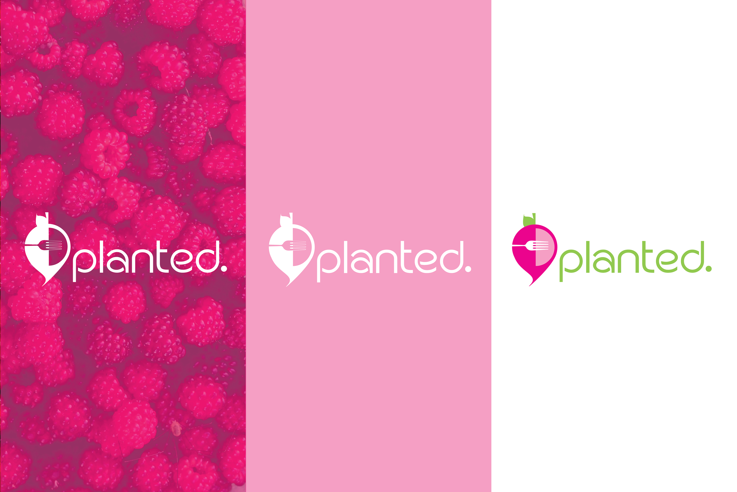 Planted_Branding_Guide_Page_3.png