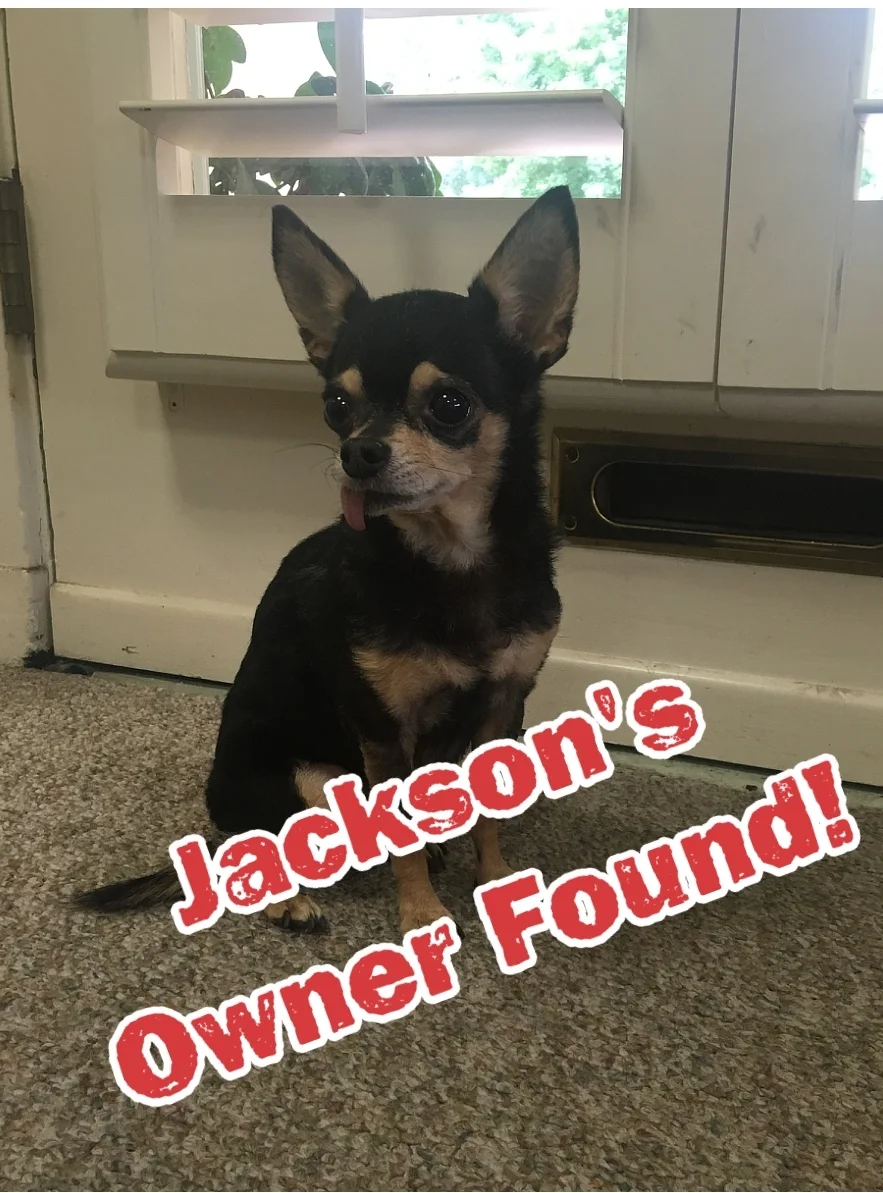 Jackson Found.jpg