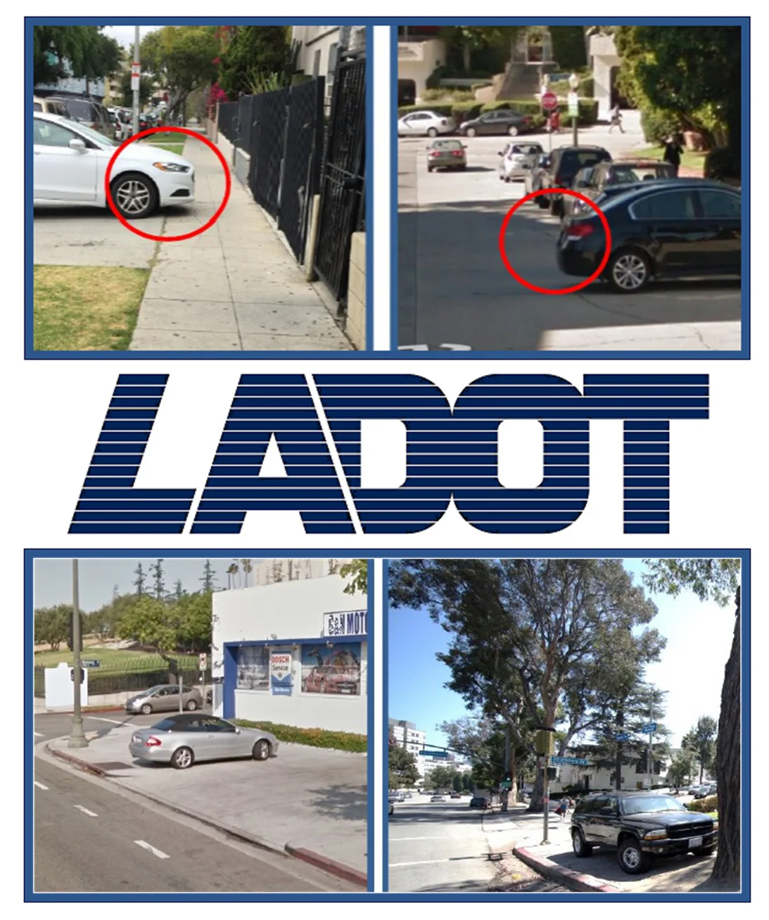 LADOT 1.jpg