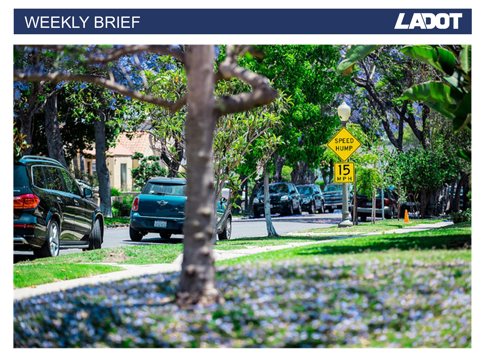 LADOT Speed Bump Applications.jpg