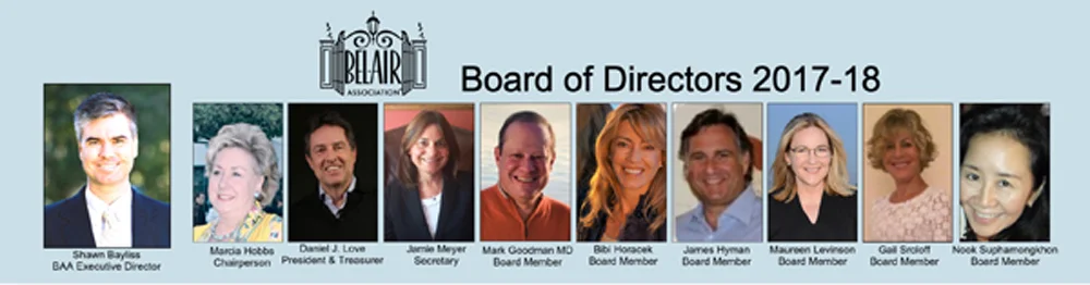 BAA Board 1000.jpg
