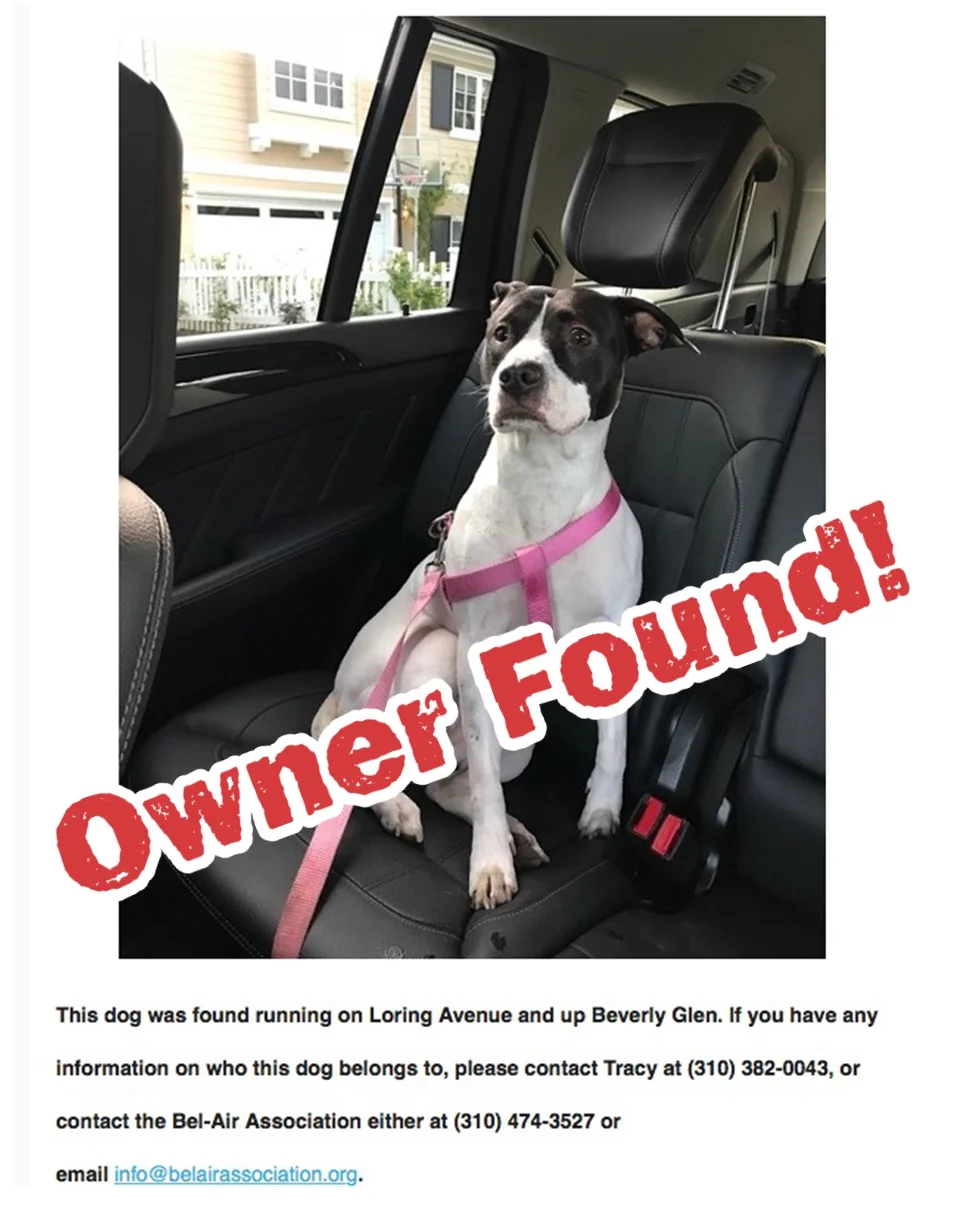Owner Found copy.jpg