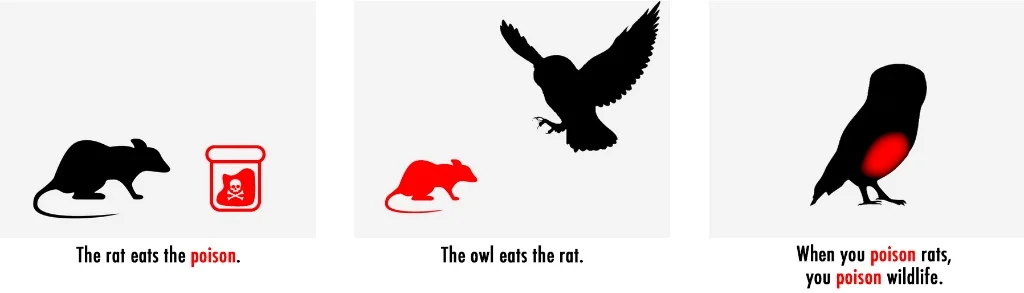 8646d598-b41b-41af-817b-5a23c0dd1e2a.jpg