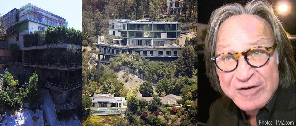 Hadid cropped.jpg