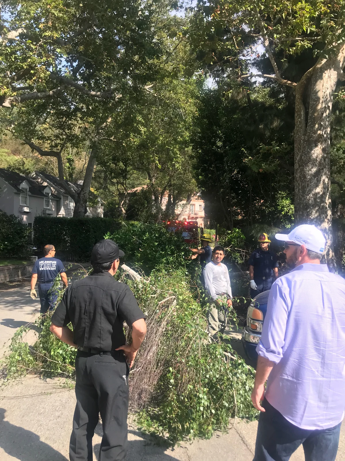 Tree falls on Stone Canyon July 18 2018 1200.jpg