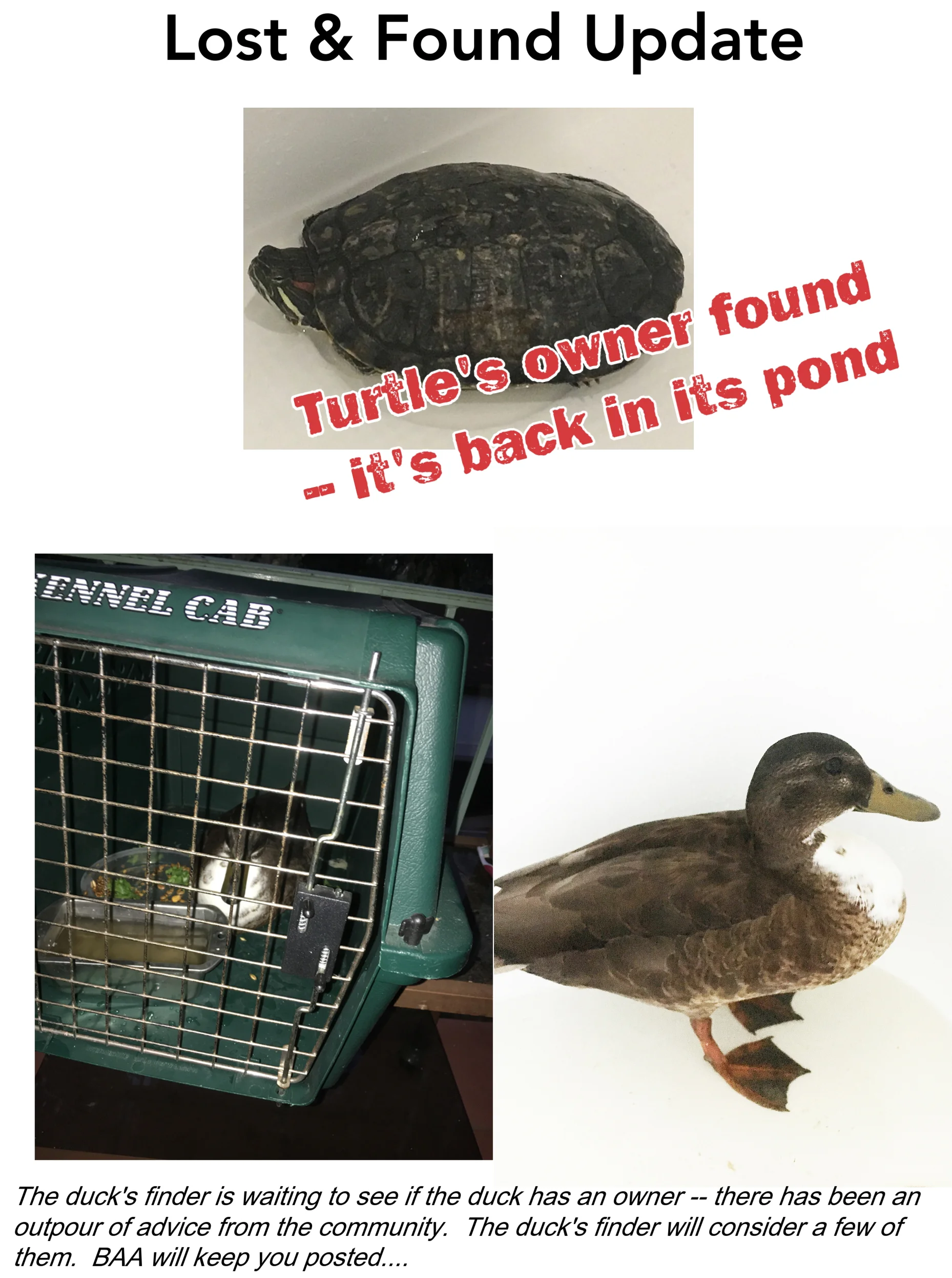 Lost and found.jpg