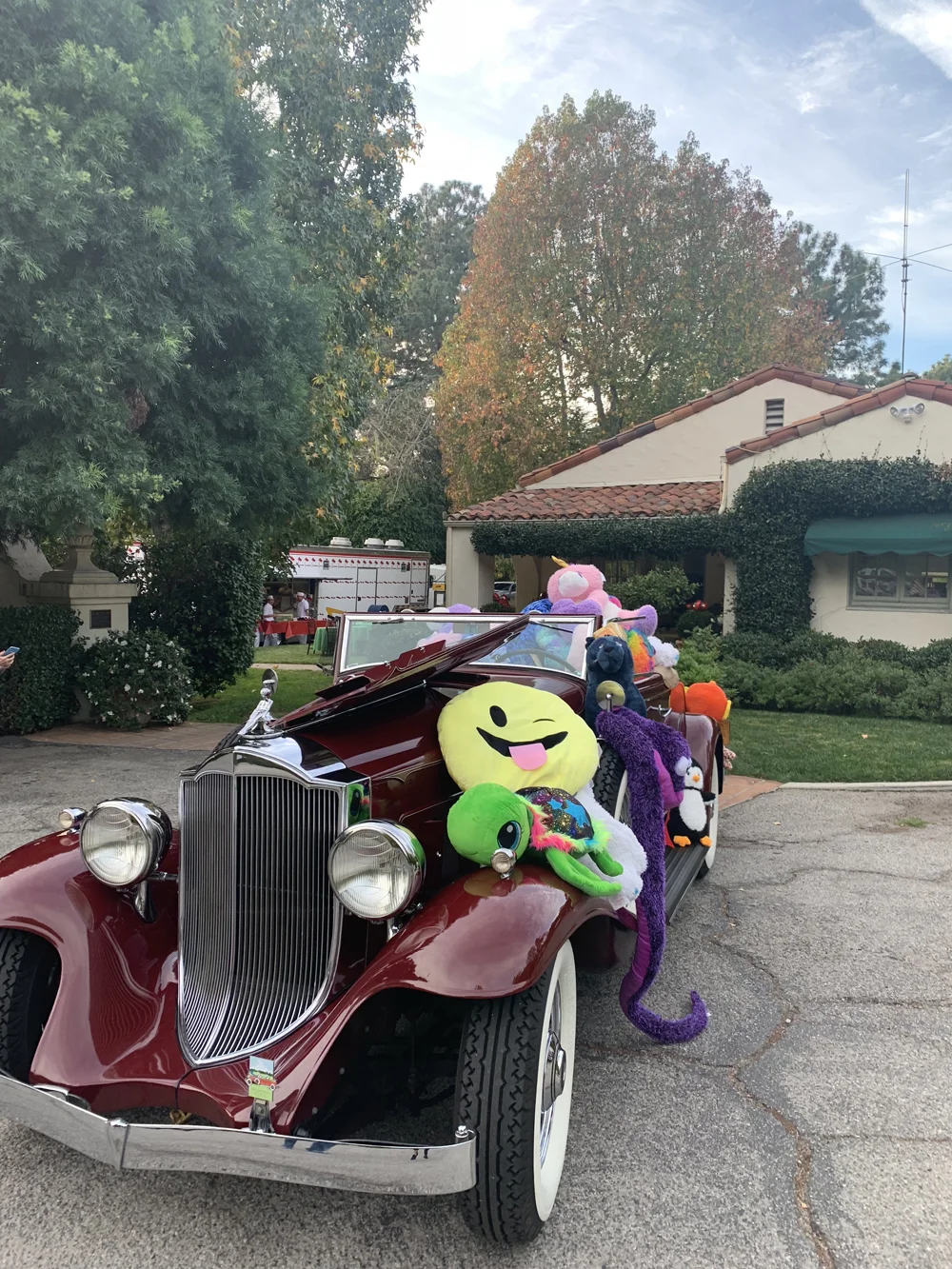 Sandy Ray Antique Car 1000.jpg