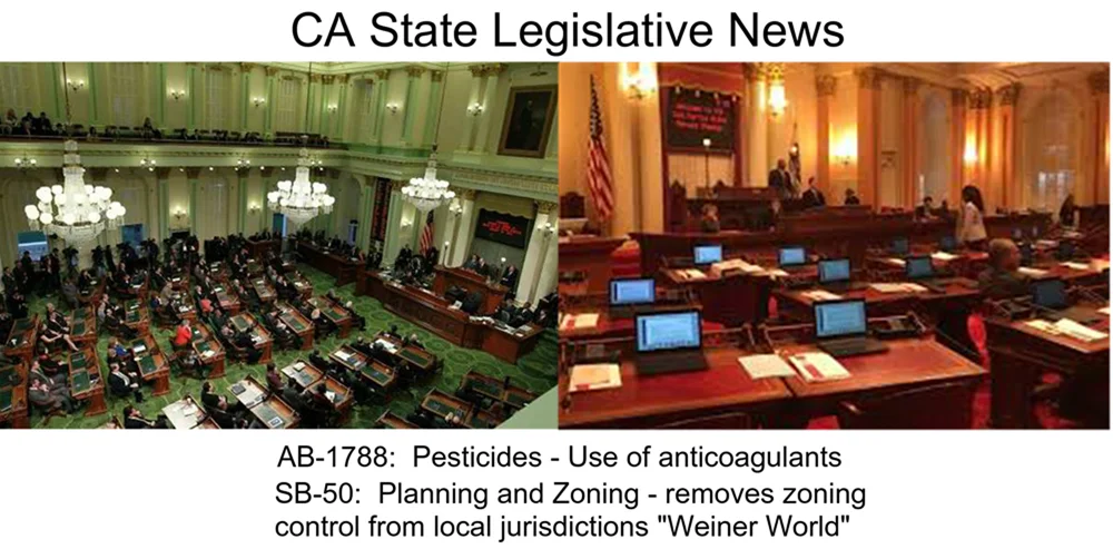 CA State Legislative News 1000.jpg