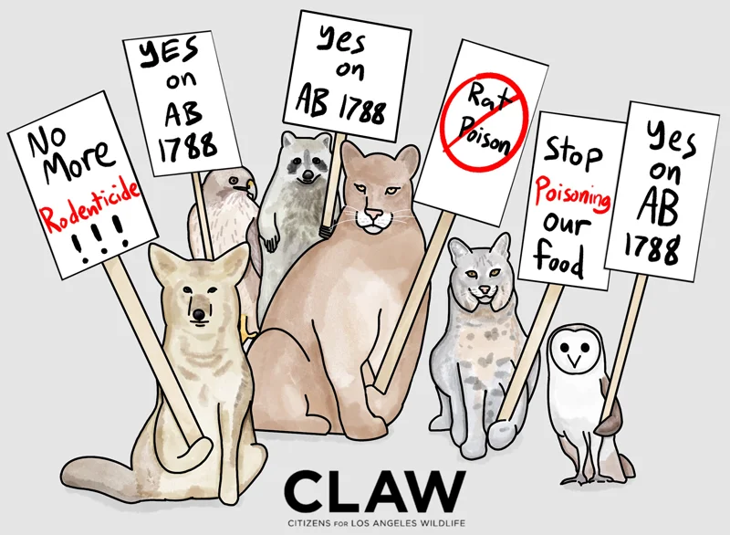 CLAW Rodenticide artwork AB 1788 800 copy.jpg