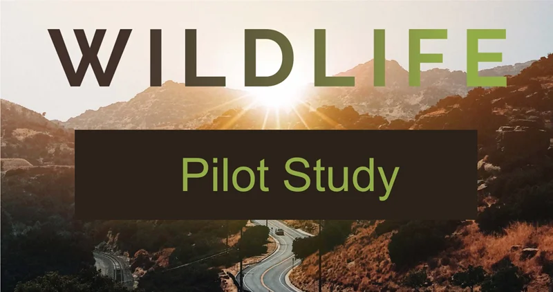 Wildlife+Pilot+Study+800.jpg