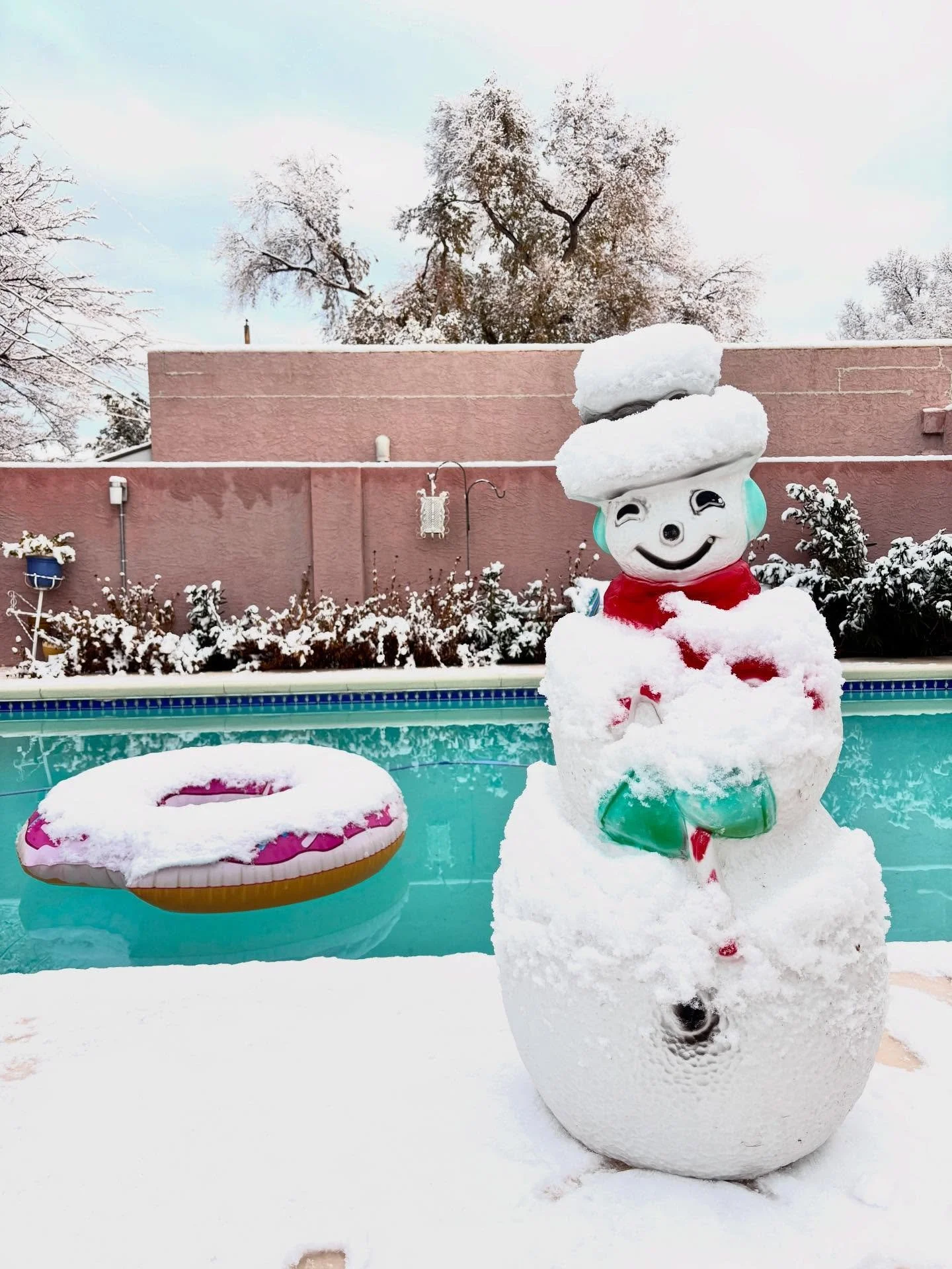 At 2:30 this morning, the city was blanketed with snow. It&rsquo;s melting fast but it&rsquo;s been a beautiful morning between the snow and the sky. I had a quiet swim at the @nmswmidtown pool, too. #goodmorning

#albuquerque #snow #newmexico #chell