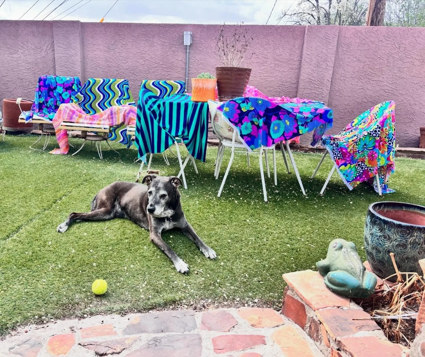 Happy 12th birthday, Ash! And thanks for watching over the just-washed fabrics and not, well, using them as your bathroom. #happybirthday

#chellesummer #mystyle #dogstagram #home