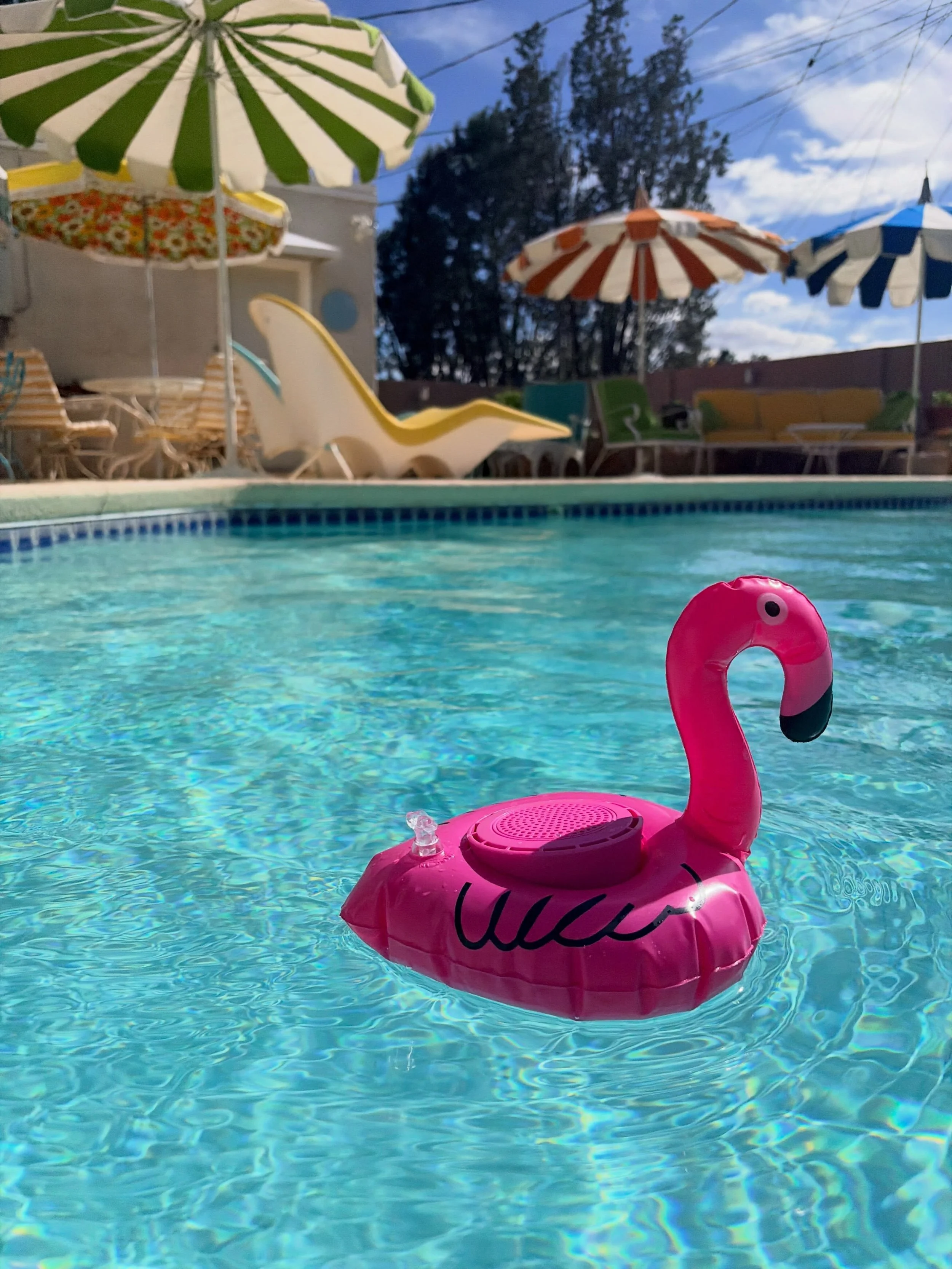 Turn the music up and have a happy Friday! #home

#tgif #chellesummer #mystyle #vintagestyle