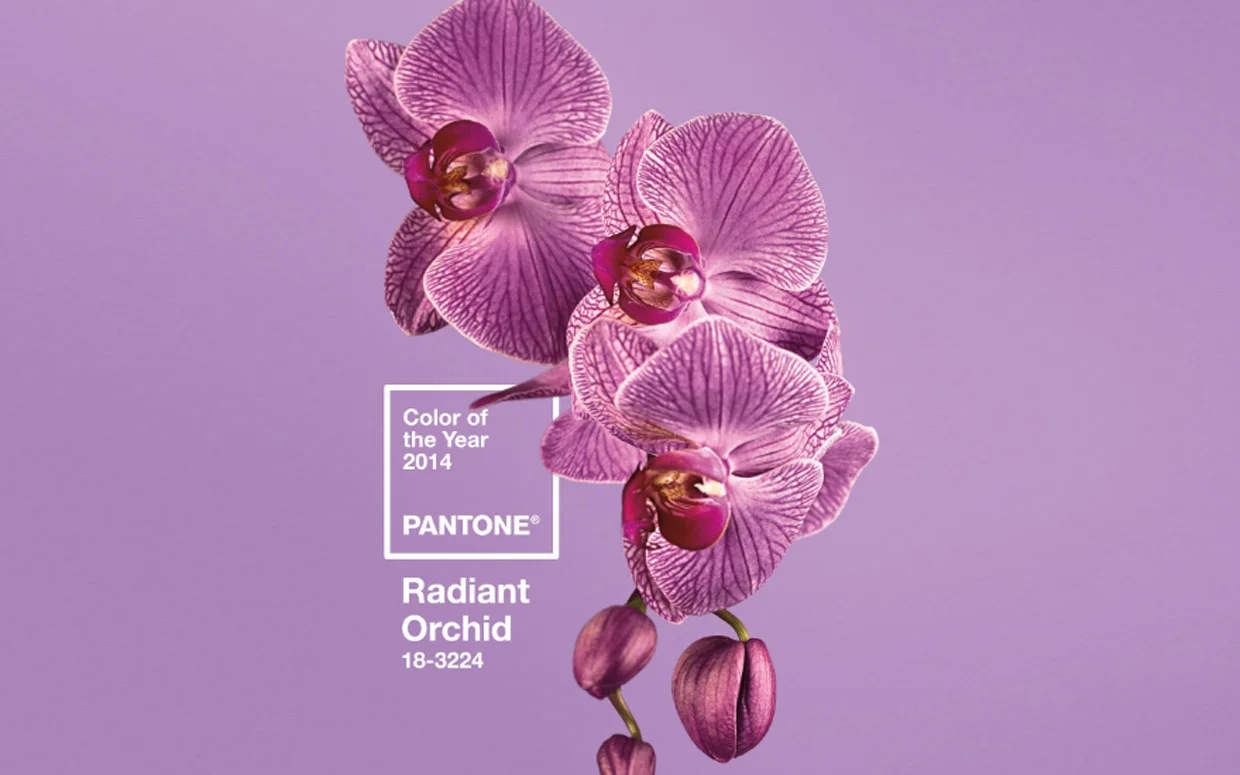 2014 is gonna be a pretty amazing year … at least according to Pantone. Our color gods have picked the color of the year. Some people are hating it. I’m not. It’s amazing!
Don’t tell any of my clients, but I plan to use this in at least one book in 2014!