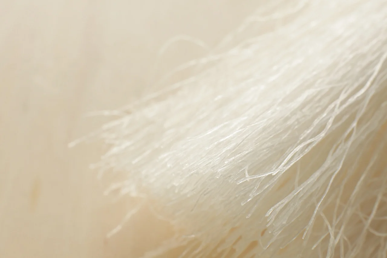 I’ve been designing an Asian noodles cookbook with Race Point Publishing (coming this Fall). Every time I get to this page, I fall in love with this photo more and more. Who knew that uncooked cellophane noodles could look so beautiful?!
Image courtesy of Thinkstock
